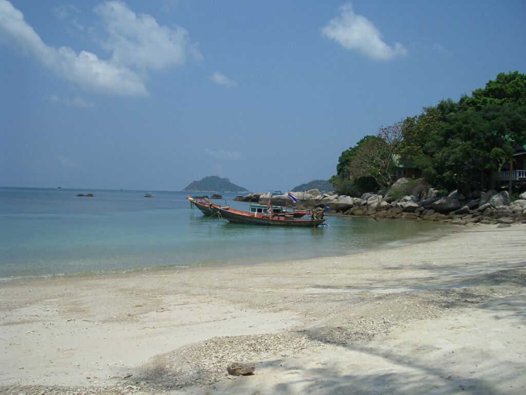 Click to See Next Image